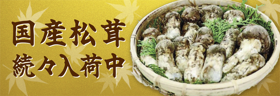 国産松茸続々入荷中